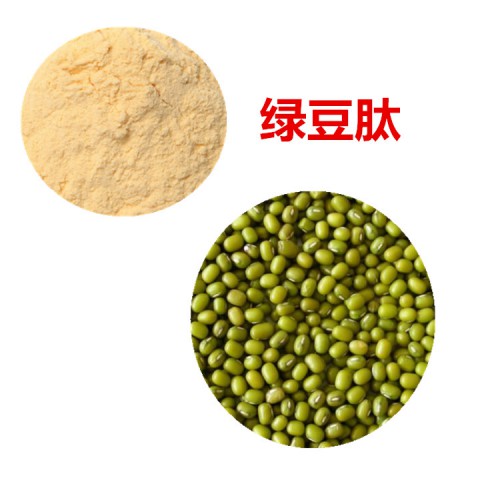 綠豆肽 90% 綠豆蛋白  綠豆小分子肽