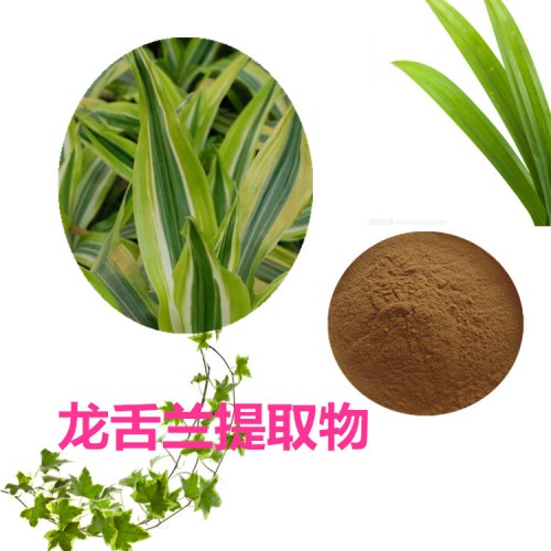 龍舌蘭提取物 水提 10:1  龍舌蘭粉 水溶 龍舌蘭浸膏