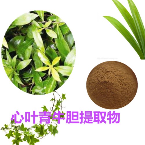 心葉青牛膽提取物 水提 10:1  心葉青牛膽粉 水溶