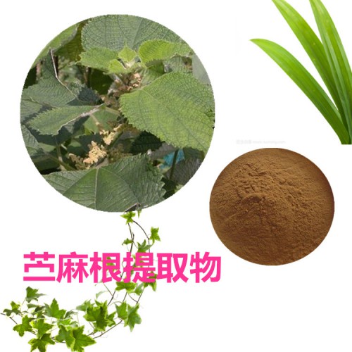 苧麻根提取物 水提 10:1  苧麻根粉 水溶 苧麻根浸膏