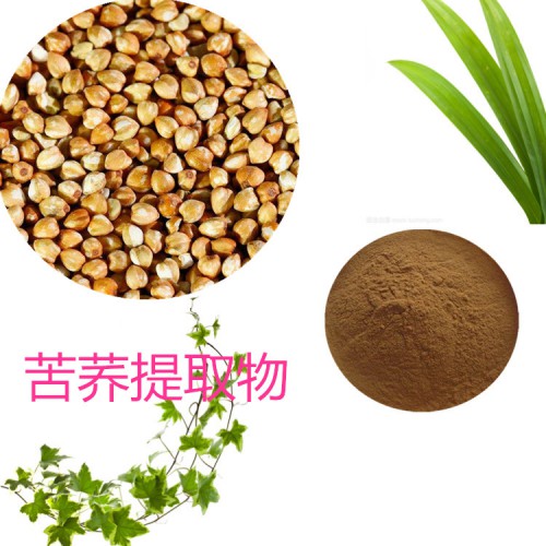 苦蕎提取物 水提 10:1 苦蕎速溶粉 苦蕎浸膏