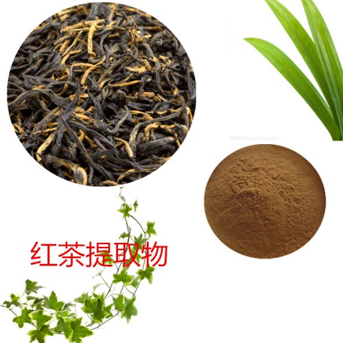 紅茶提取物 水提 10:1 紅茶速溶粉 紅茶浸膏