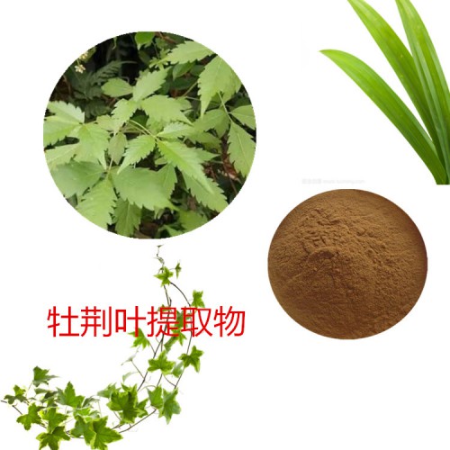 牡荊葉提取物 水提 10:1 牡荊葉速溶粉 牡荊葉浸膏