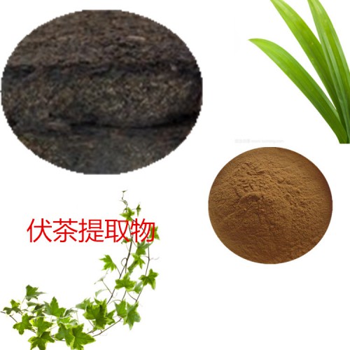 伏茶提取物 水提 10:1 伏茶速溶粉 伏茶浸膏