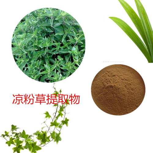 涼粉草提取物 水提 10:1 涼粉草速溶粉 涼粉草浸膏