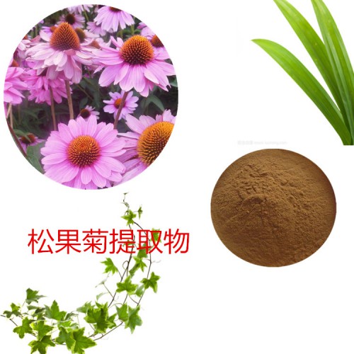 松果菊粉 松果菊速溶粉 松果菊浸膏粉 松果菊提取物