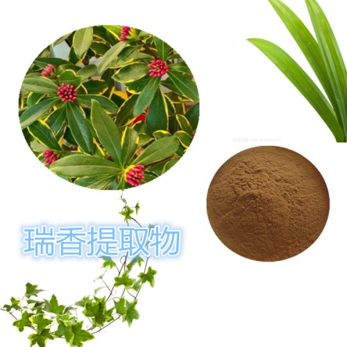 瑞香提取物 10:1  瑞香粉 水溶 瑞香浸膏粉