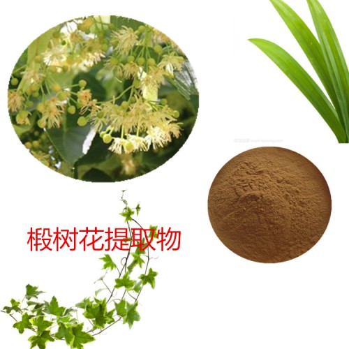 椴樹花粉 椴樹花速溶粉  椴樹花浸膏粉 椴樹花提取物