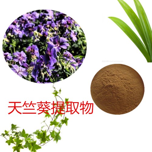 天竺葵提取物 水提 10:1 天竺葵速溶粉 天竺葵浸膏