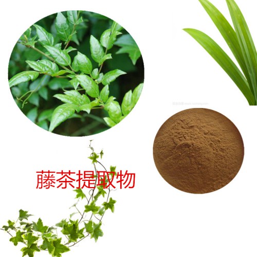 藤茶提取物 藤茶速溶粉 藤茶浸膏 藤茶粉