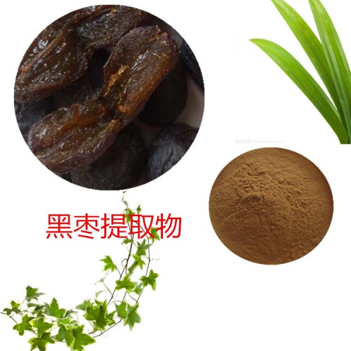 黑棗提取物 水提 10：1  黑棗速溶粉 黑棗浸膏 黑棗粉