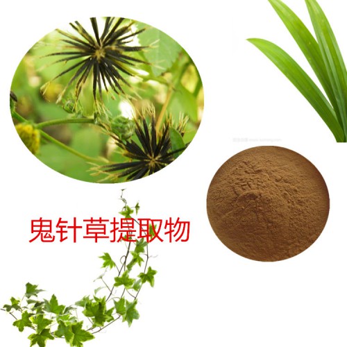 鬼針草提取物 水提 10：1  鬼針草速溶粉 鬼針草浸膏