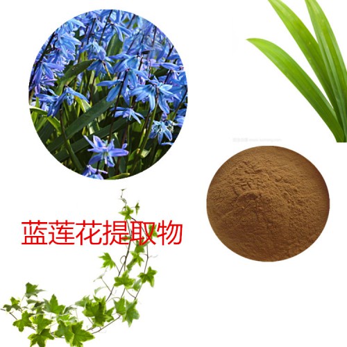 藍蓮花提取物 水提 藍蓮花速溶粉 藍蓮花浸膏 藍蓮花粉