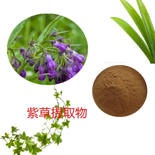 紫草提取物 水提 10：1  紫草速溶粉 紫草浸膏 紫草粉