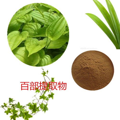 百部提取物 水提 10：1  百部速溶粉 百部浸膏 紫草粉