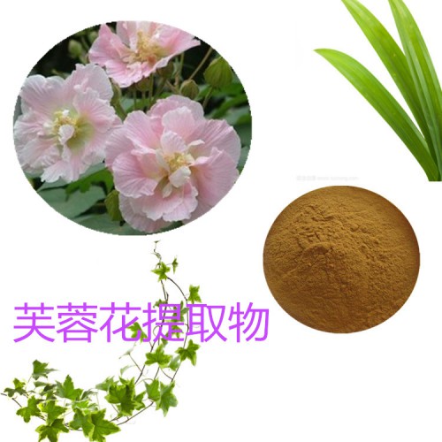 芙蓉花提取物 水提 芙蓉花速溶粉 芙蓉花浸膏 芙蓉花粉