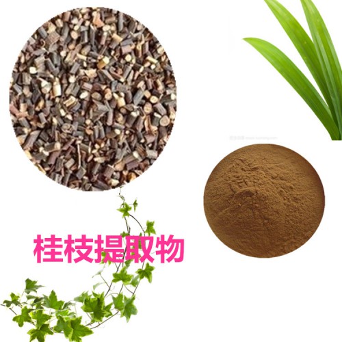 桂枝提取物 水提   桂枝速溶粉 桂枝浸膏 桂枝粉