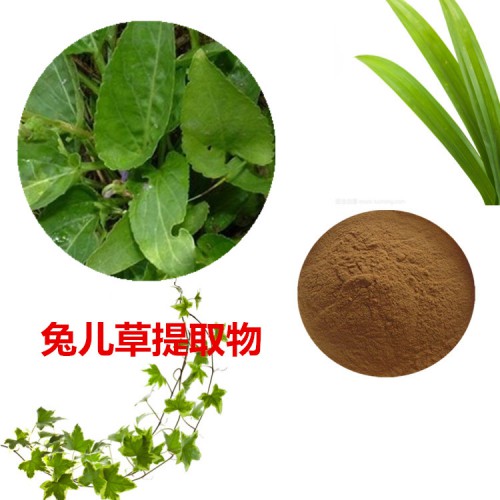 兔耳草提取物 水提   兔耳草速溶粉 兔耳草浸膏 兔耳草粉