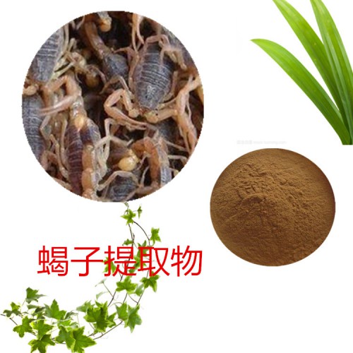 全蝎提取物 水提 10:1  全蝎速溶粉 全蝎浸膏 全蝎粉