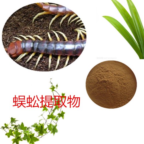 蜈蚣提取物 水提 10:1  蜈蚣速溶粉 蜈蚣浸膏 蜈蚣粉