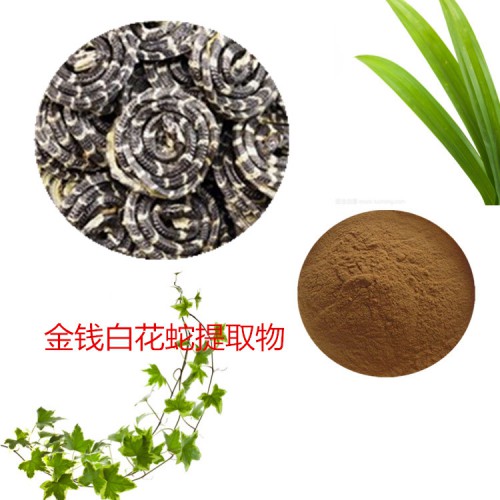 金錢(qián)白花蛇提取物  金錢(qián)白花蛇速溶粉 金錢(qián)白花蛇浸膏