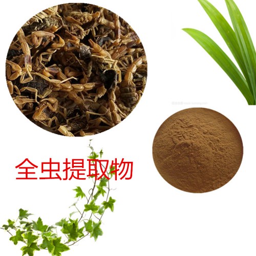 全蟲提取物 水提  全蟲速溶粉 全蟲浸膏 全蟲粉