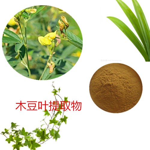 木豆葉提取物 水提 木豆葉速溶粉  木豆葉浸膏 木豆葉粉