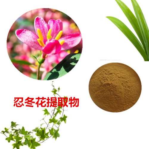 忍冬花提取物 水提 忍冬花速溶粉 忍冬花浸膏 忍冬花粉