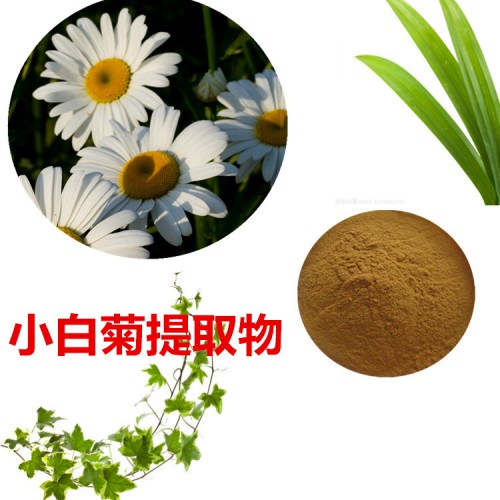 小白菊提取物 水提 小白菊速溶粉 小白菊浸膏 小白菊粉