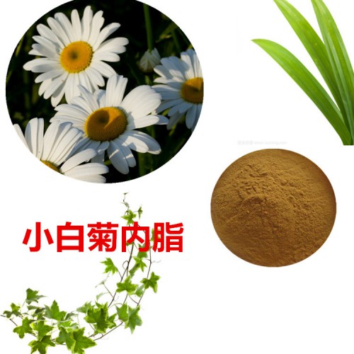 小白菊提取物 水提 小白菊內脂 2%  小白菊浸膏粉