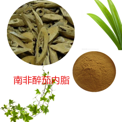 南非醉茄提取物 水提   南非醉茄內脂  南非醉茄浸膏粉