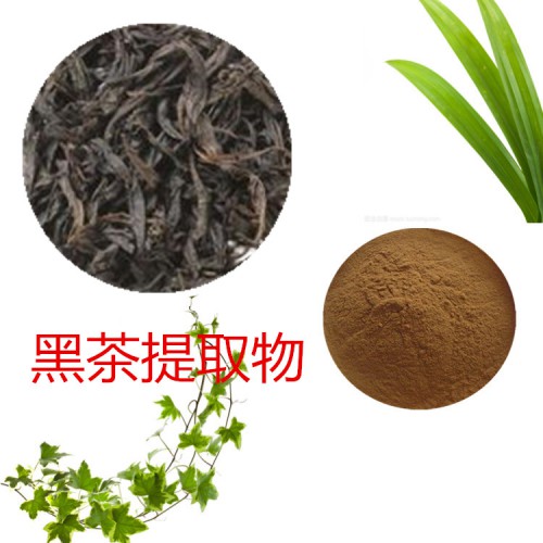 黑茶提取物 水提  黑茶速溶粉 黑茶浸膏 黑茶粉