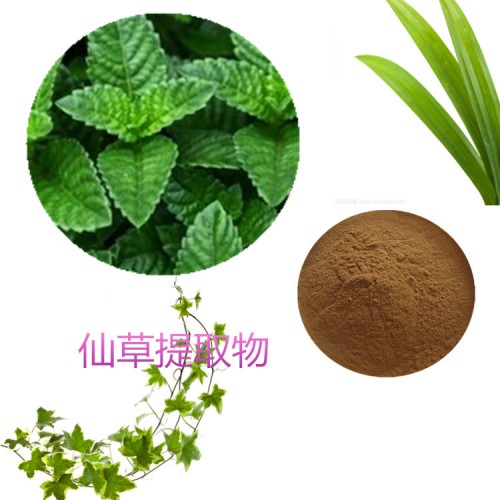 仙草提取物 水提  仙草速溶粉 仙草浸膏 仙草粉