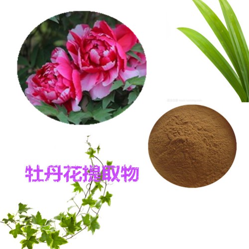 牡丹花提取物 水提 牡丹花速溶粉 牡丹花浸膏 牡丹花粉