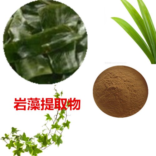 巖藻提取物 水提 巖藻速溶粉 巖藻浸膏 巖藻粉