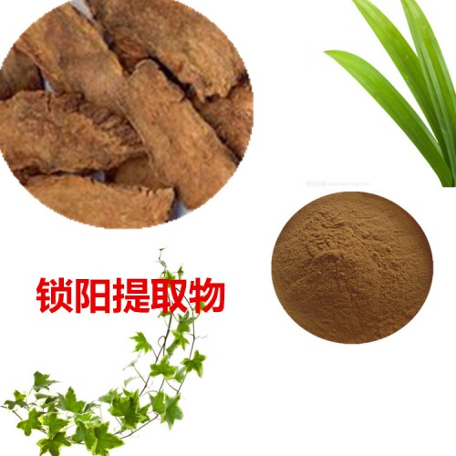 鎖陽(yáng)提取物 水提 鎖陽(yáng)速溶粉鎖陽(yáng)浸膏 鎖陽(yáng)粉