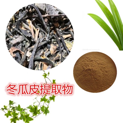 冬瓜皮提取物  冬瓜皮速溶粉 冬瓜皮浸膏 冬瓜皮粉