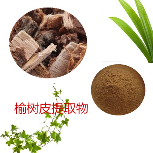 榆樹皮提取物 水提 榆樹皮速溶粉 榆樹皮浸膏 榆樹皮粉 水溶