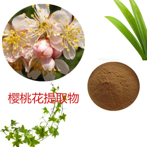 櫻桃花提取物 水提 櫻桃花速溶粉 櫻桃花浸膏 櫻桃花粉 水溶