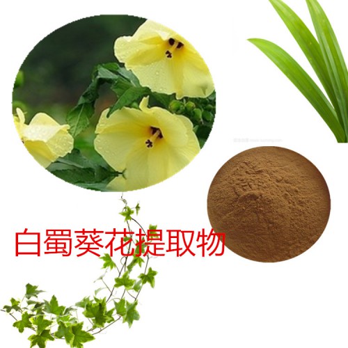 白蜀葵花提取物 白蜀葵花速溶粉 白蜀葵花浸膏 白蜀葵花粉