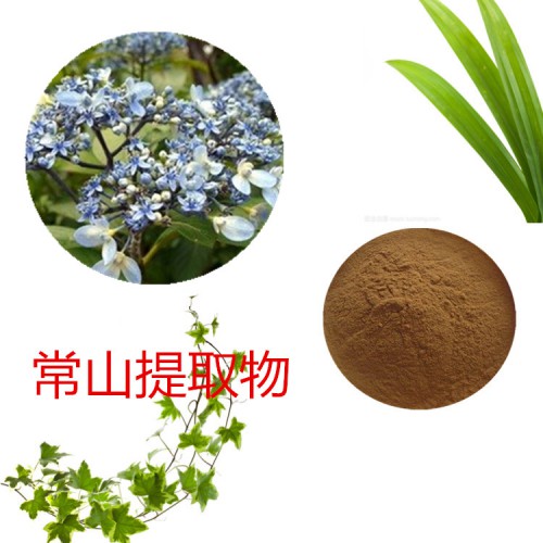 常山提取物 水提  常山速溶粉 常山浸膏 常山粉 水溶