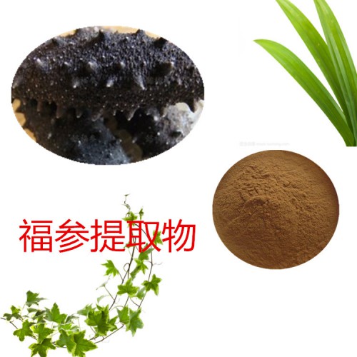 福參提取物 水提 福參速溶粉 福參浸膏 福參粉 水溶