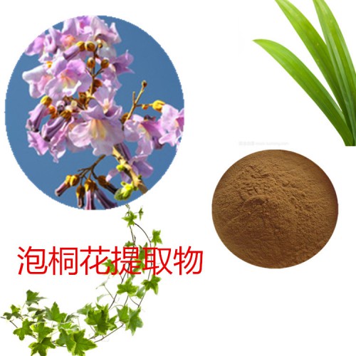 泡桐花提取物   泡桐花速溶粉 泡桐花浸膏 泡桐花粉 水溶