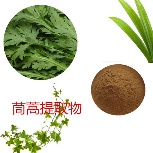 茼蒿提取物 水提  茼蒿速溶粉  茼蒿浸膏  茼蒿粉 水溶