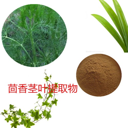 茴香莖葉提取物  茴香莖葉速溶粉  茴香莖葉浸膏