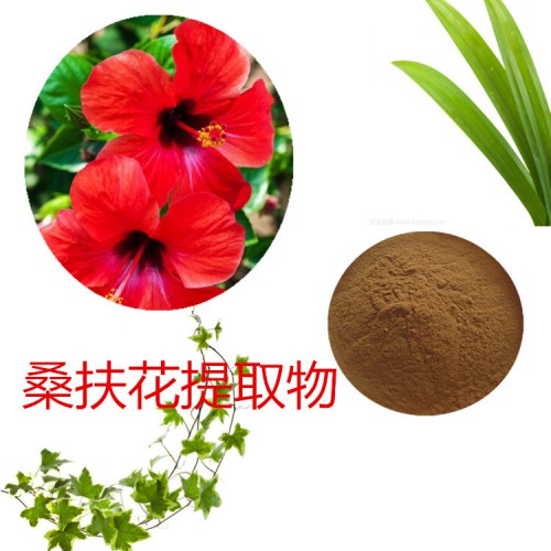 扶桑花提取物 扶桑花速溶粉  扶桑花浸膏  扶桑花粉