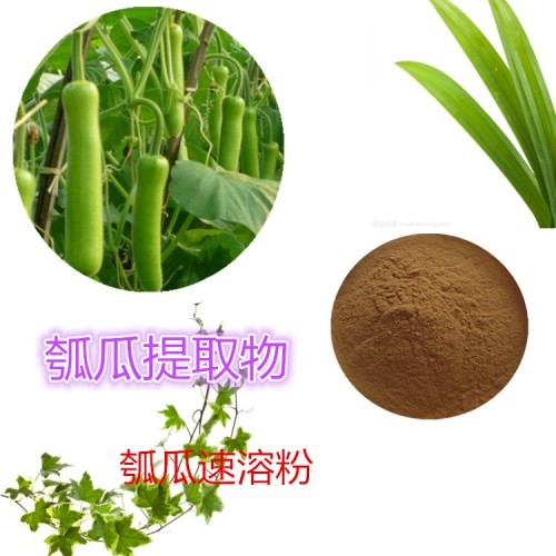 瓠瓜提取物 水提 瓠瓜速溶粉 瓠瓜浸膏 瓠瓜粉