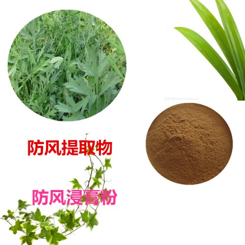 防風(fēng)提取物 水提 防風(fēng)速溶粉 防風(fēng)浸膏 防風(fēng)粉 水溶