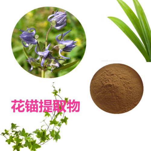 花錨提取物 水提 花錨速溶粉 花錨浸膏 常春藤葉粉 水溶