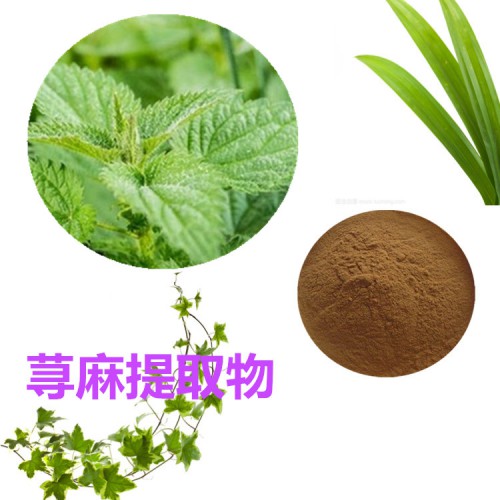 蕁麻提取物 水提 蕁麻速溶粉 蕁麻浸膏 蕁麻粉 水溶